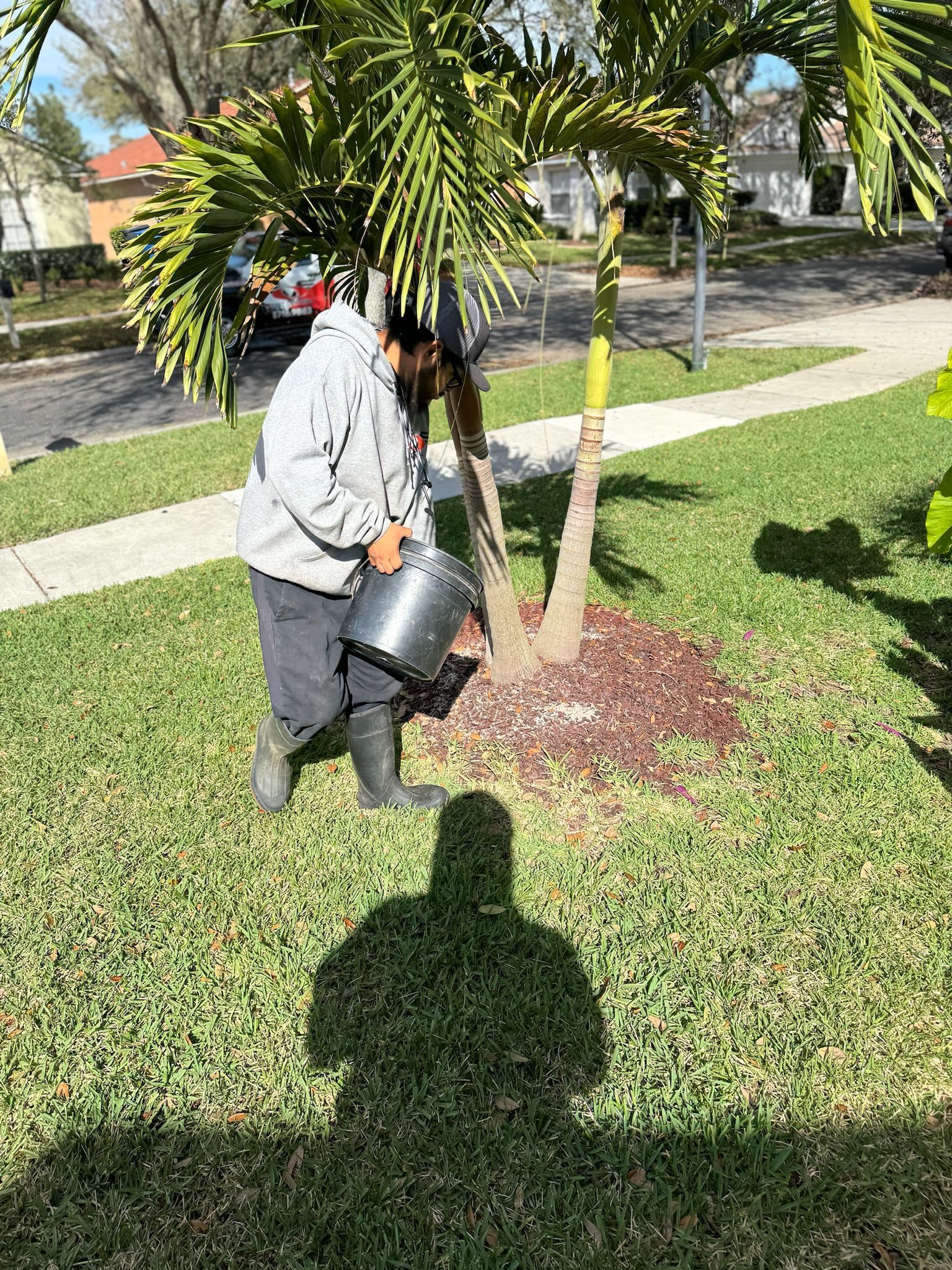 A man is watering a tree in a yard with a bucket.