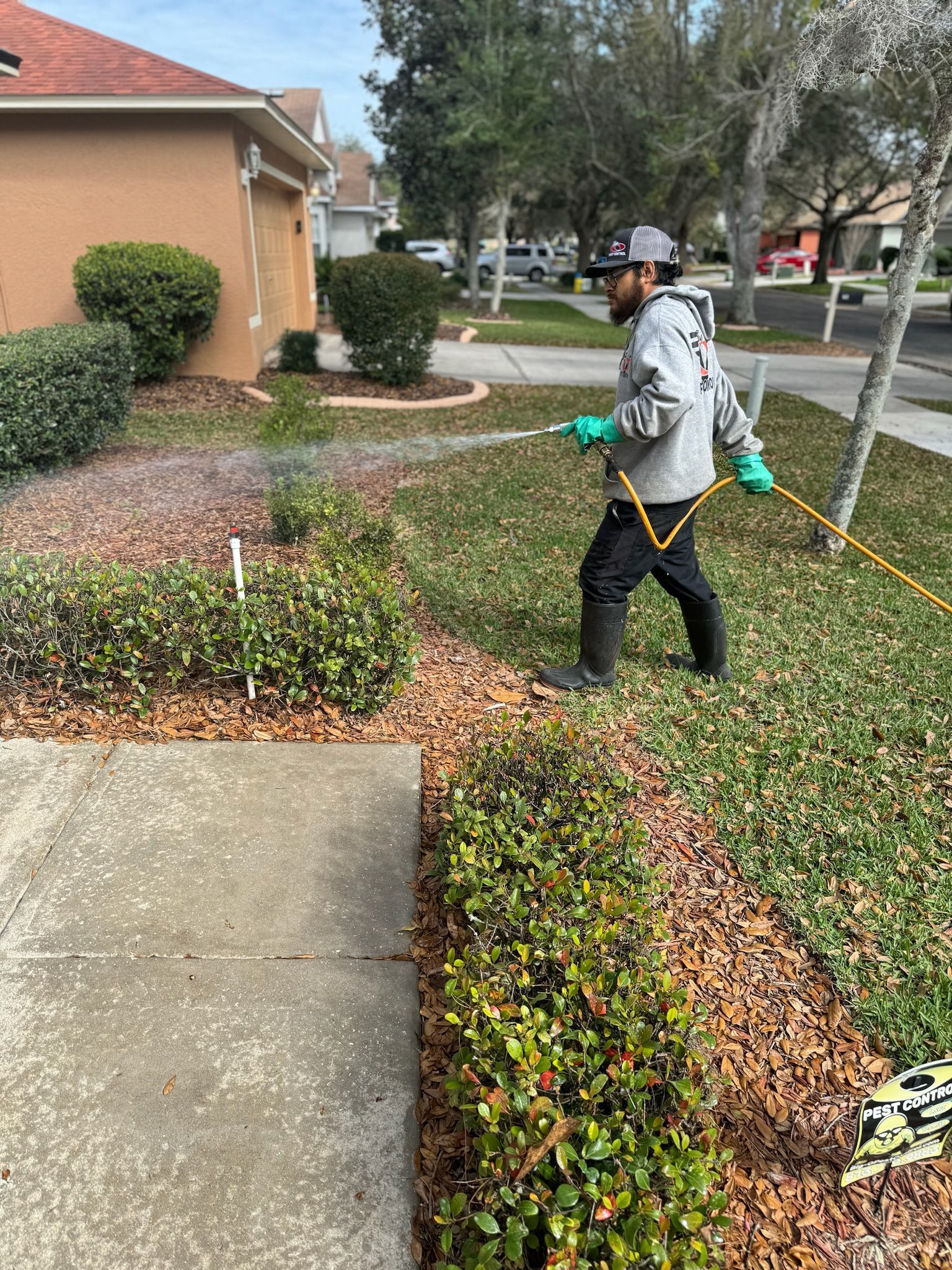 A man is spraying a lawn with a sprayer in front of a house.