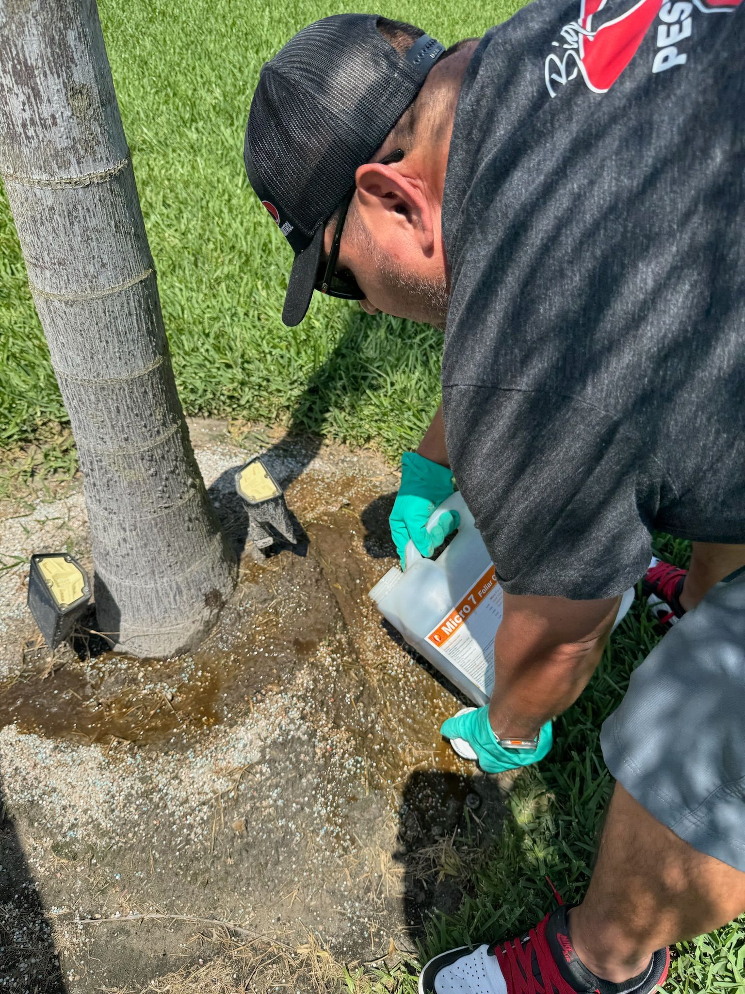 A man is kneeling down next to a tree in a yard.