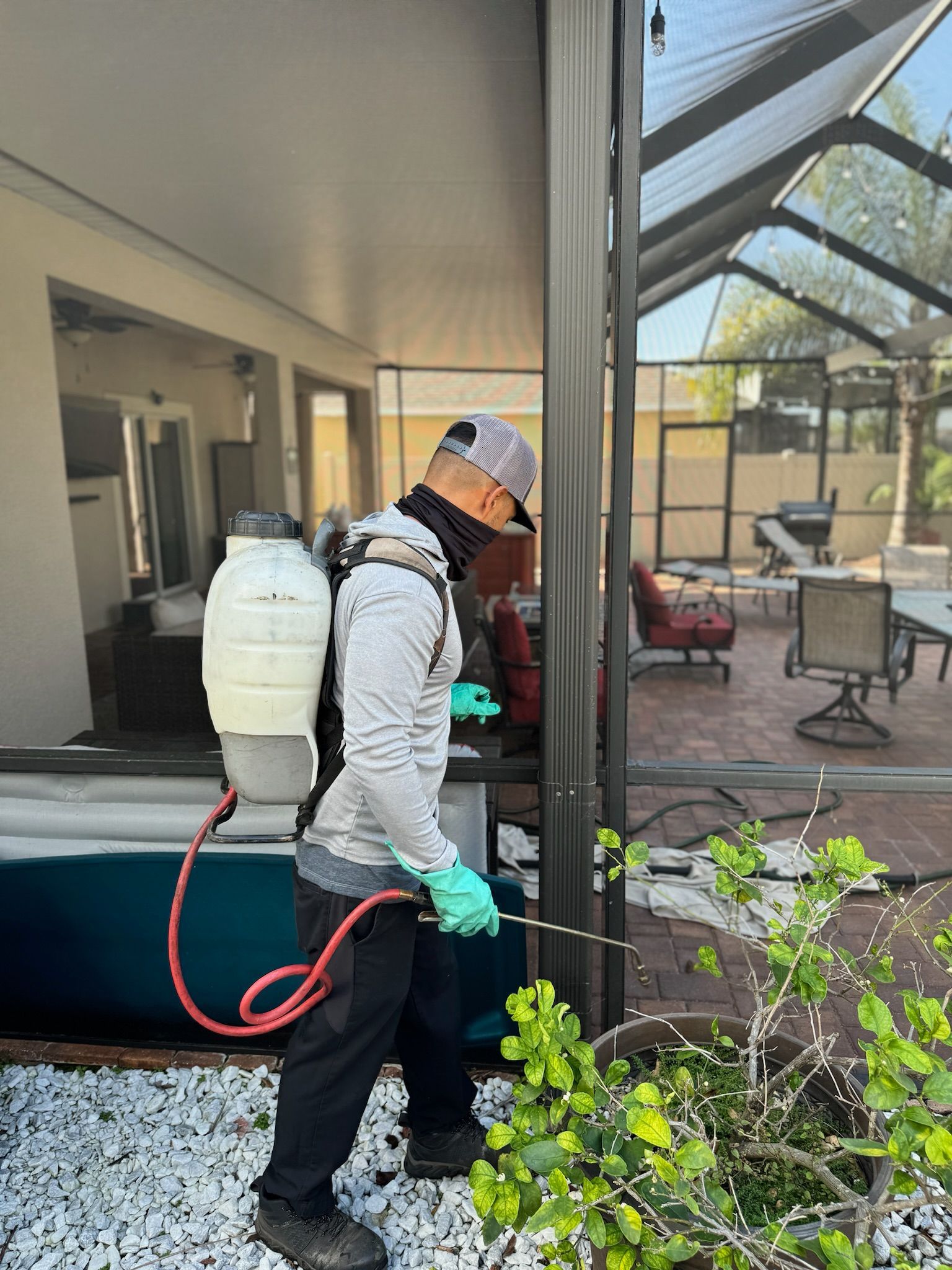 A man is spraying a plant with a backpack sprayer.