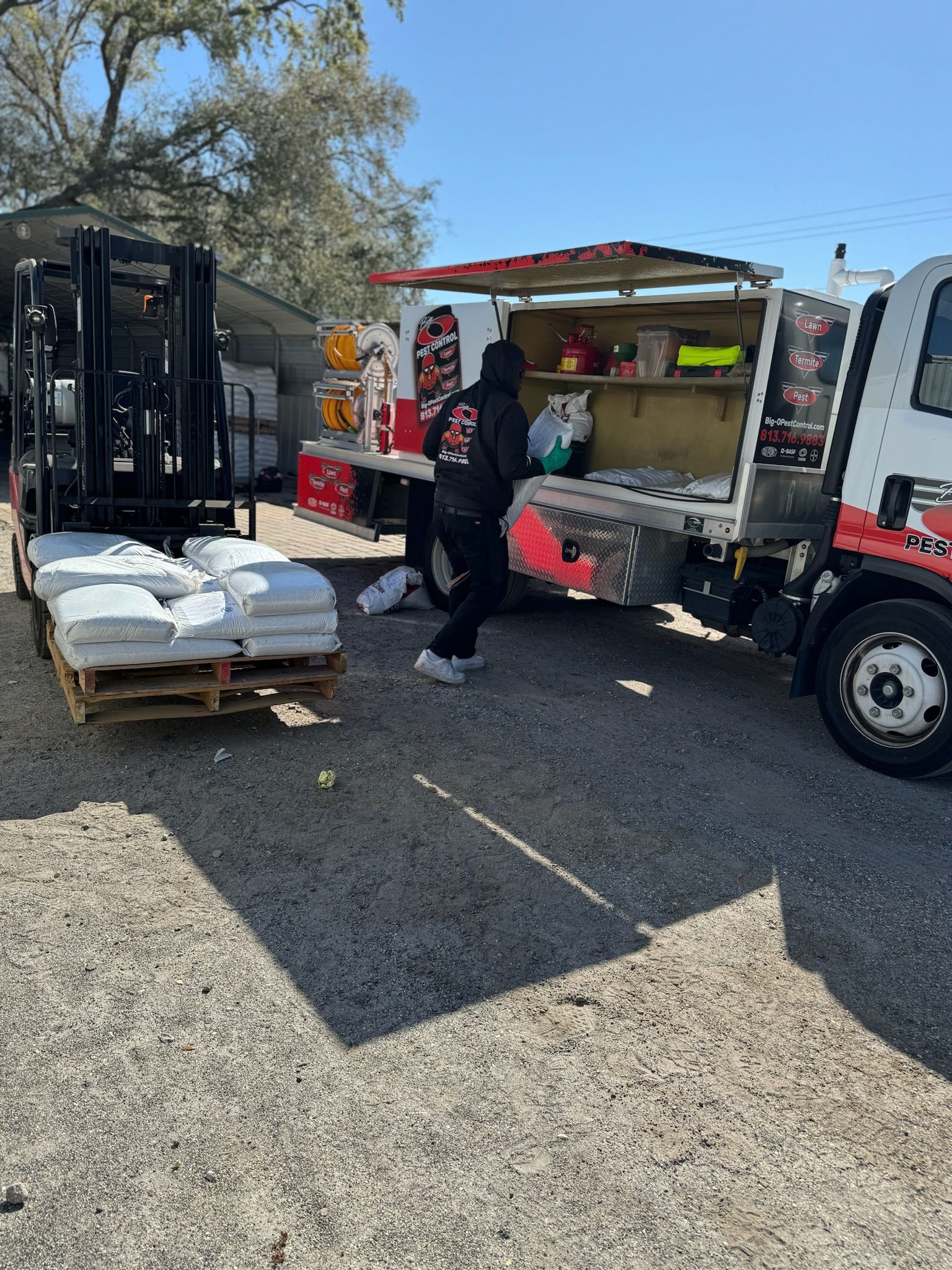 A man is loading bags into a truck with a forklift.