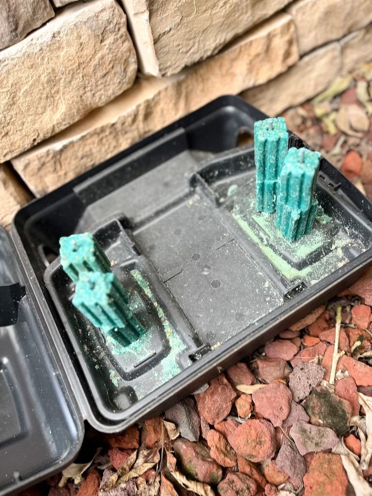 A black tray filled with green blocks is sitting on a pile of bricks.