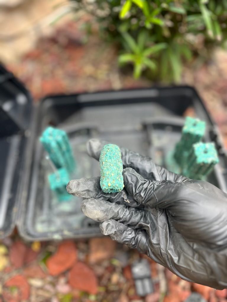 A person wearing black gloves is holding a green block in their hand.