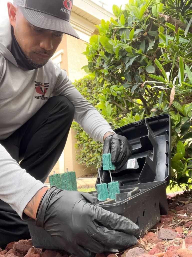 Man in black gloves sets rat poison in a bait station near a bush outside.
