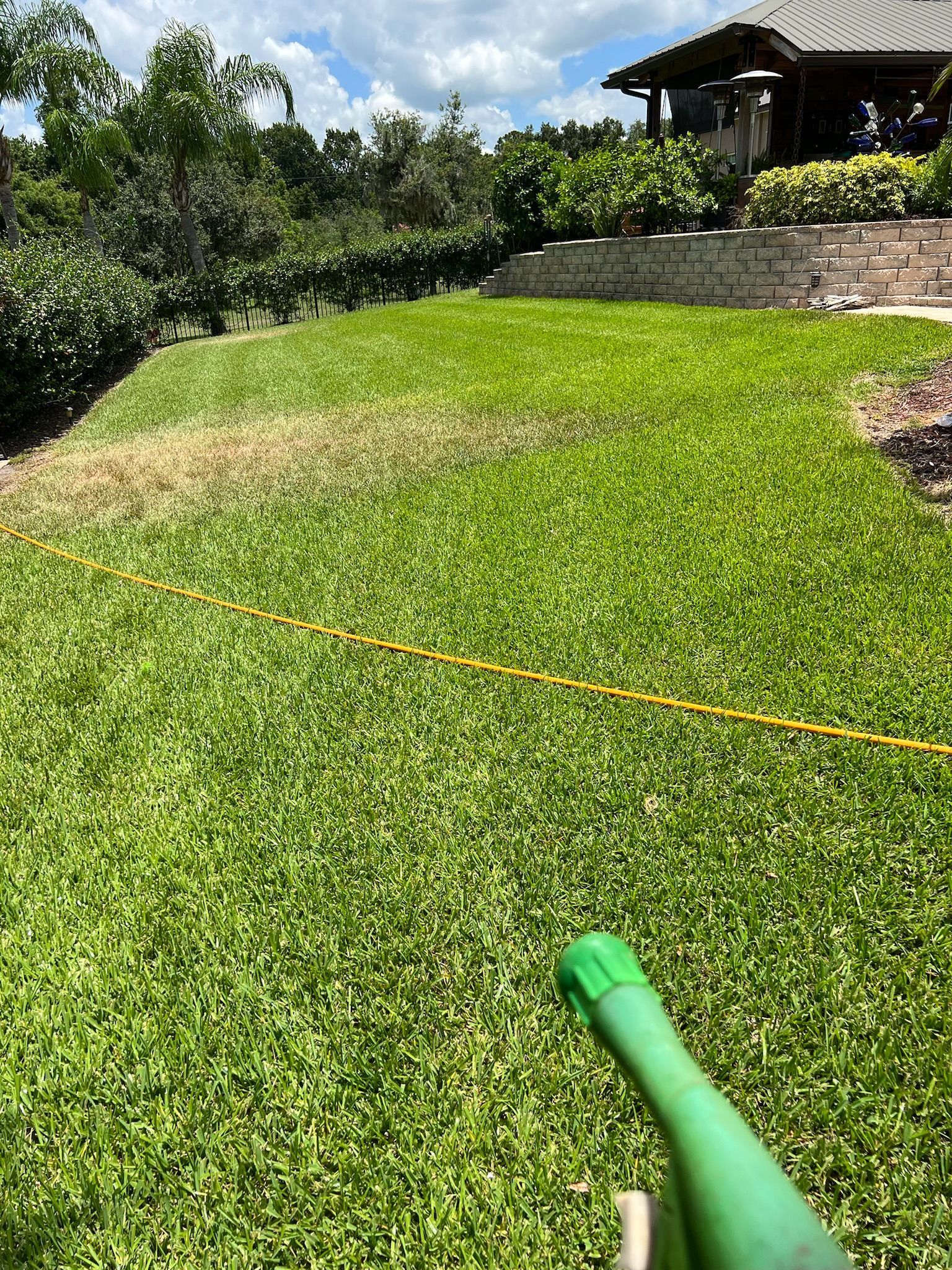 A person is watering a lush green lawn with a green hose.