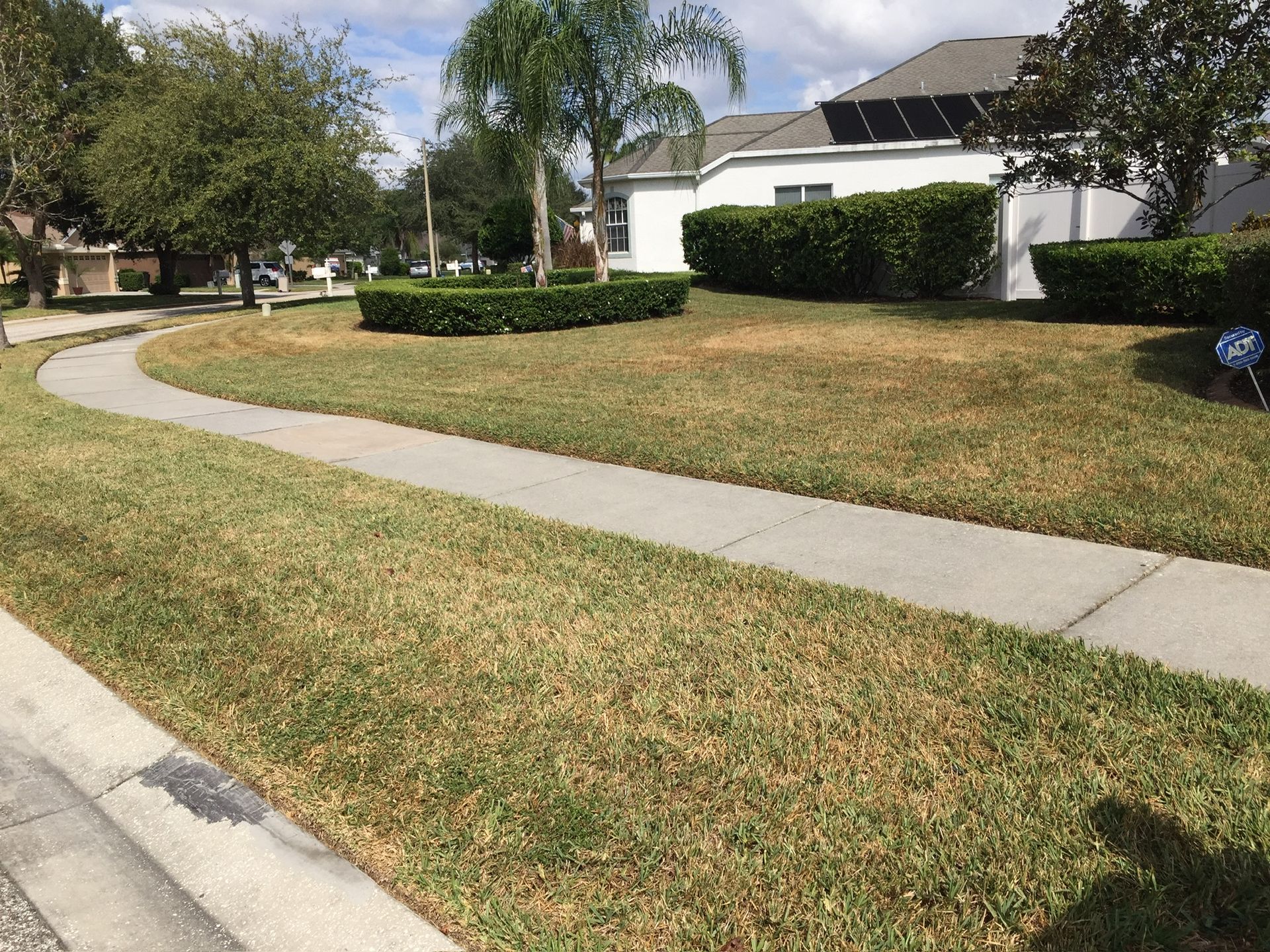 A lawn with a sidewalk and a house in the background