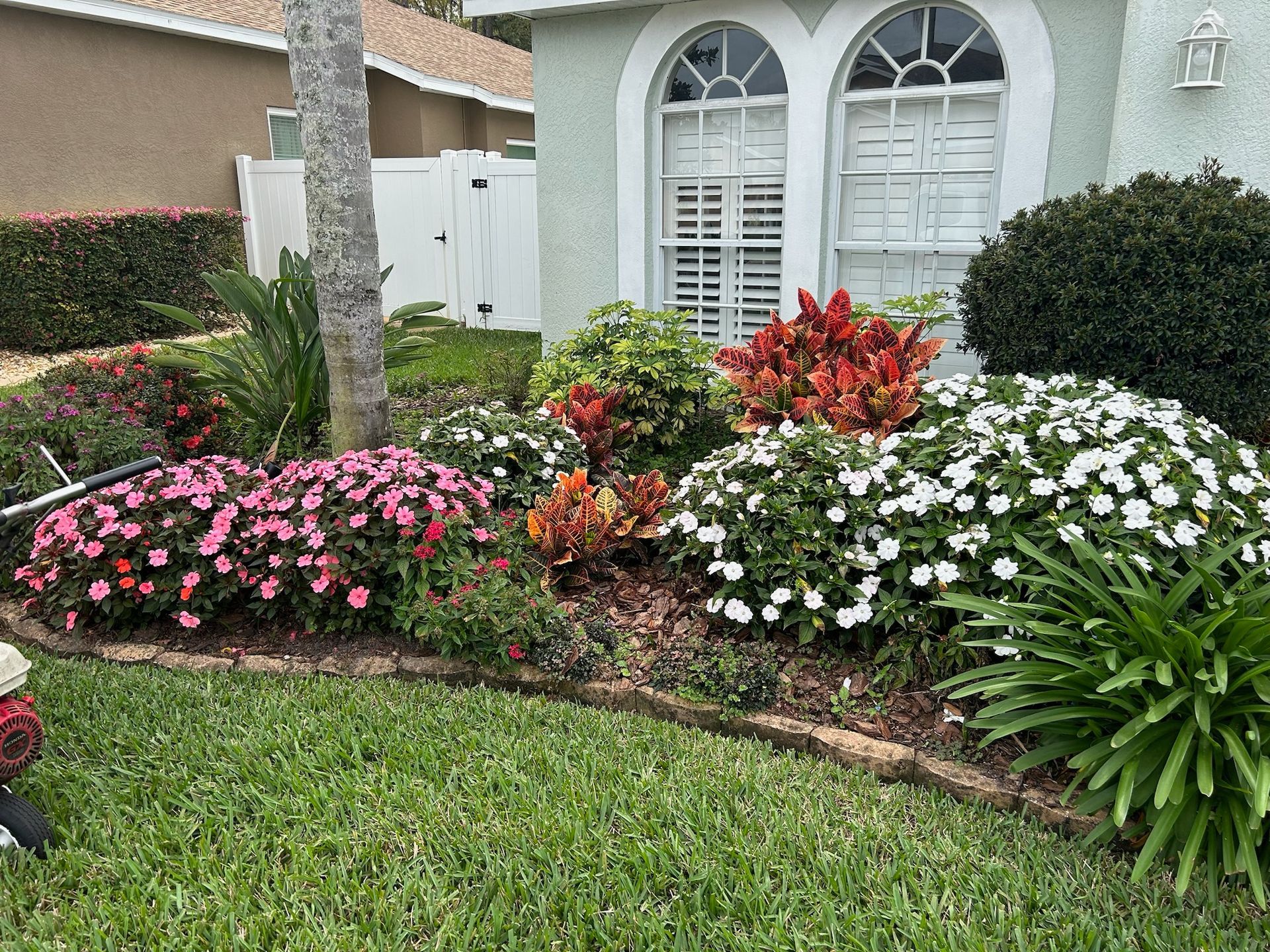 A garden with lots of flowers and plants in front of a house.