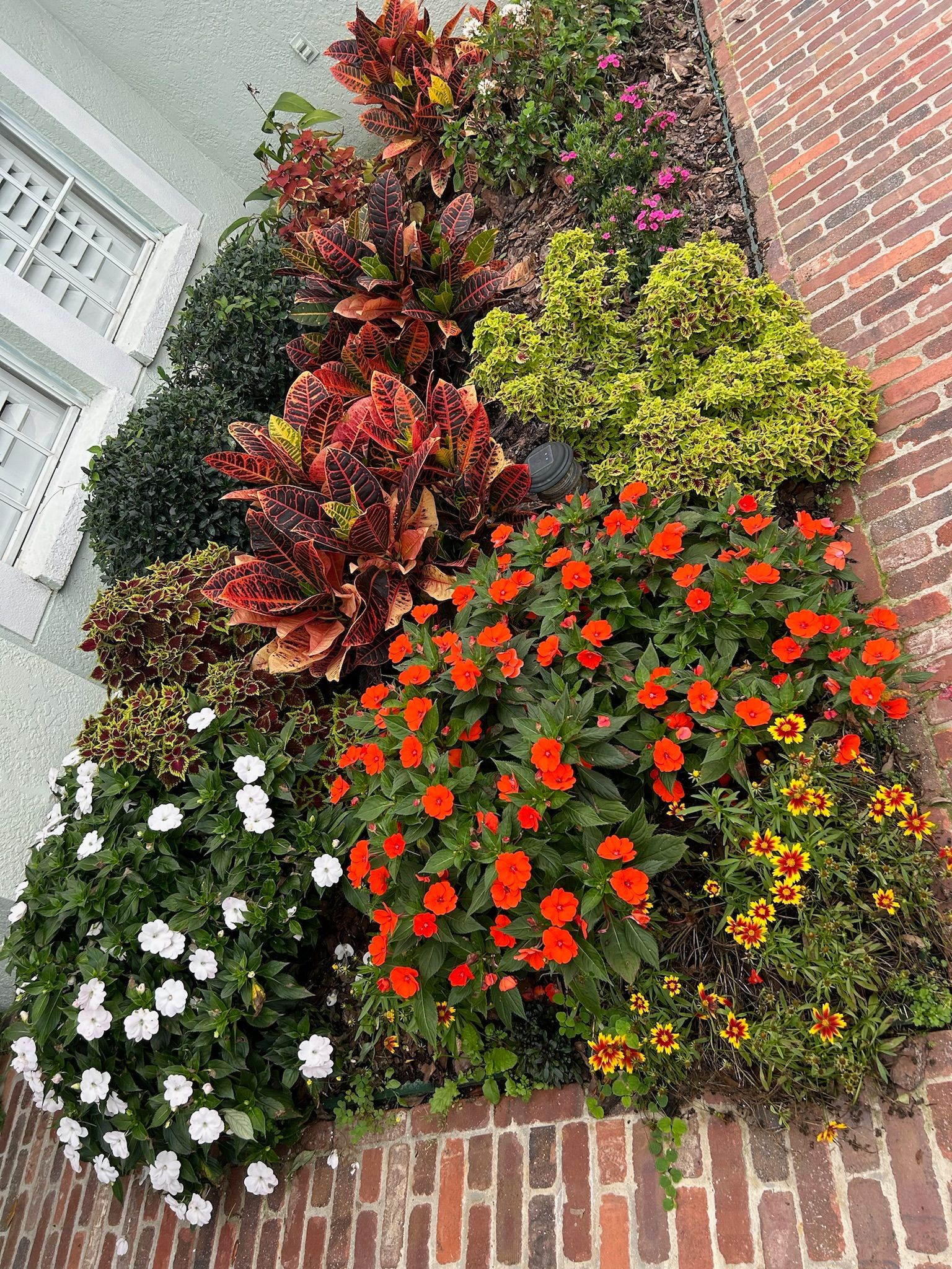 There are many different types of flowers in this garden.