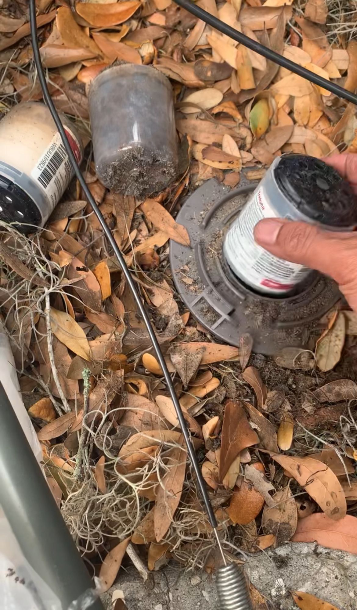 A person is holding a bottle in their hand in a pile of leaves.