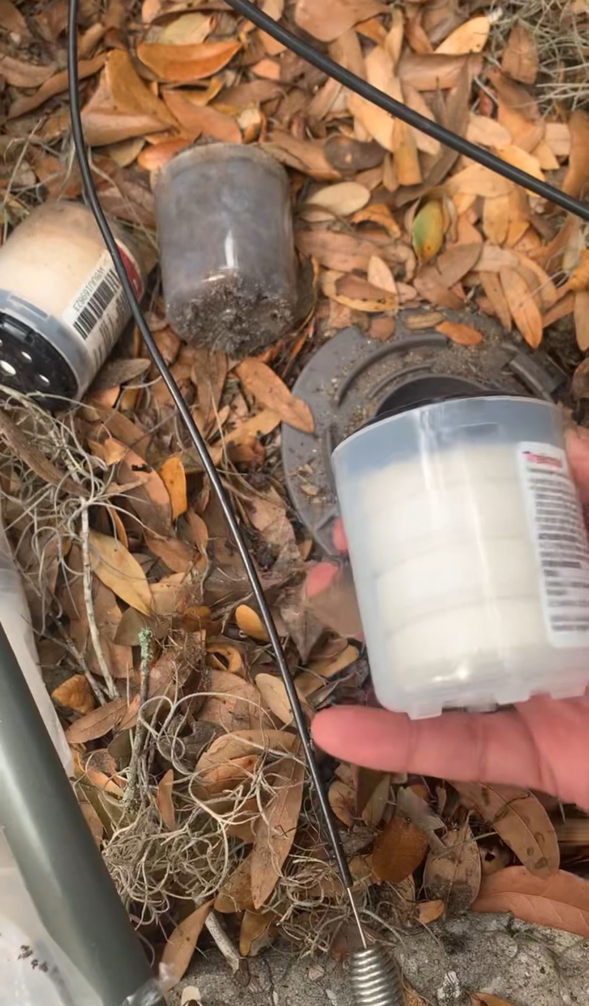 A person is holding a candle in a plastic container in a pile of leaves.