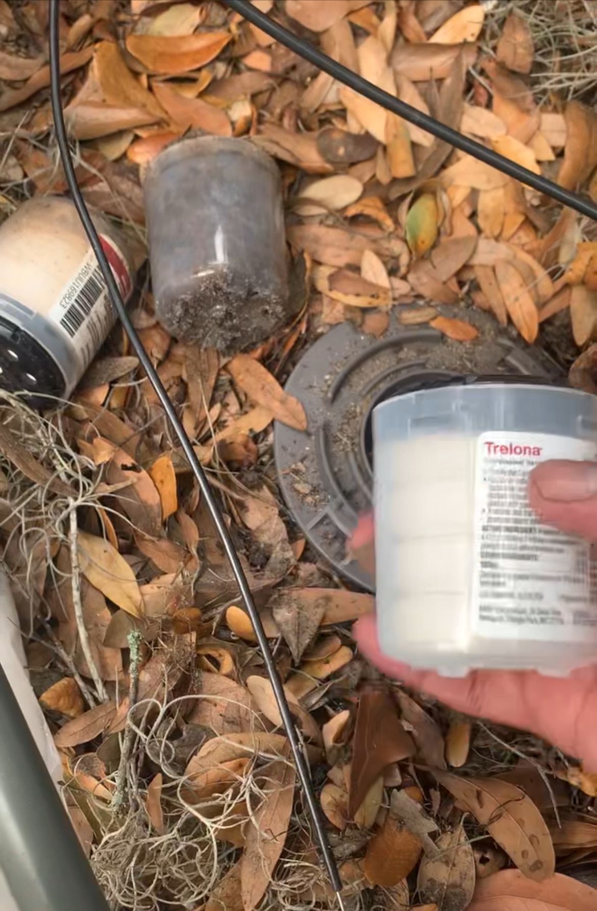 A person is holding a plastic container in their hand in front of a pile of leaves.