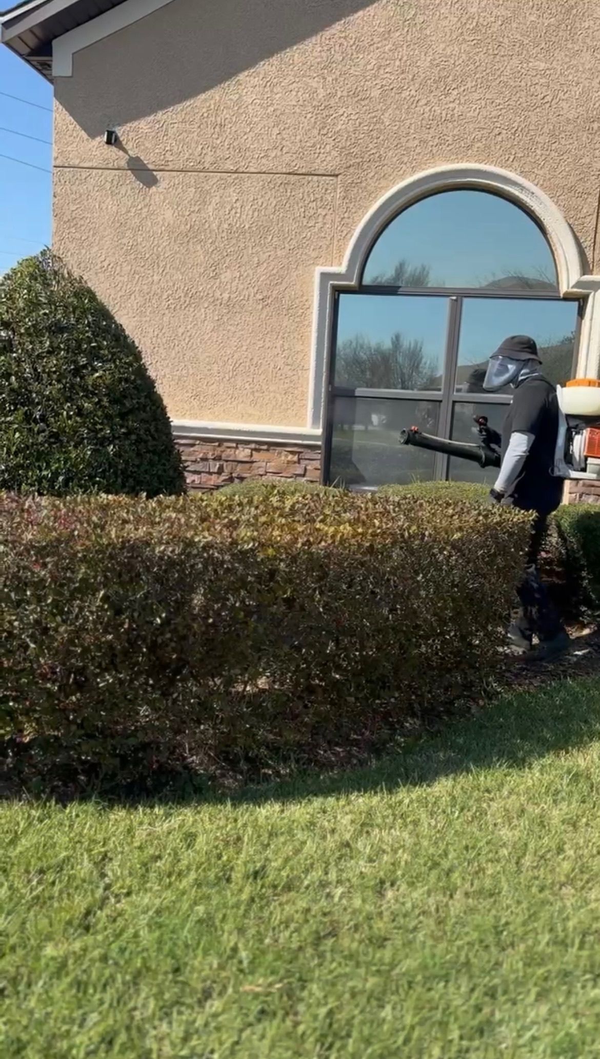 A person is standing in front of a building in a yard.