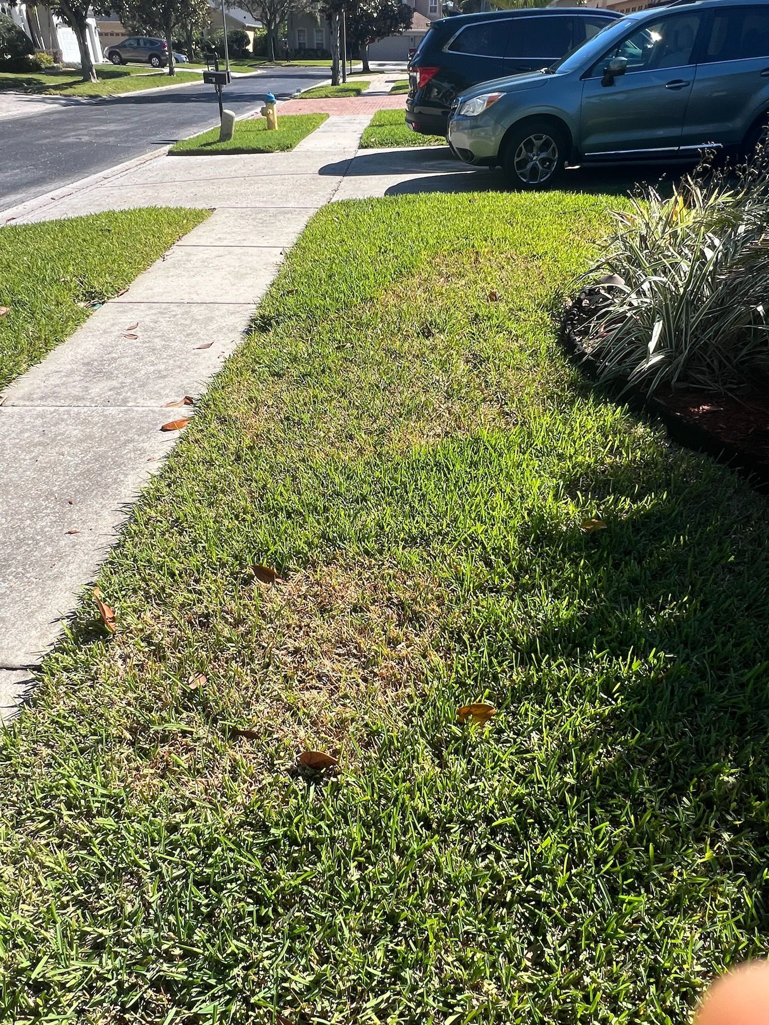 A car is parked on the side of the road next to a lush green lawn.