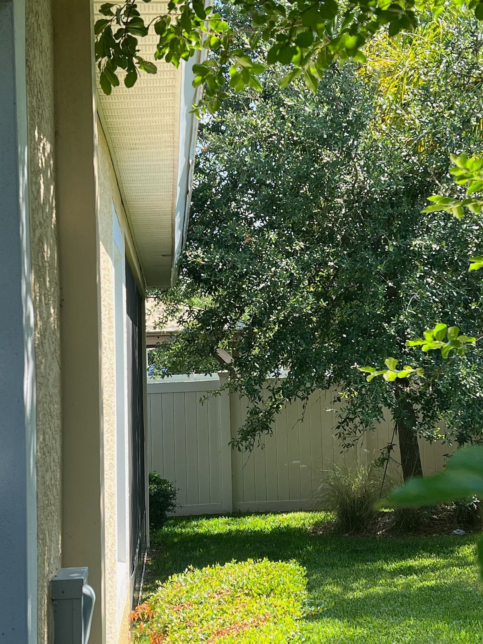 A house with a white fence and a tree in front of it.