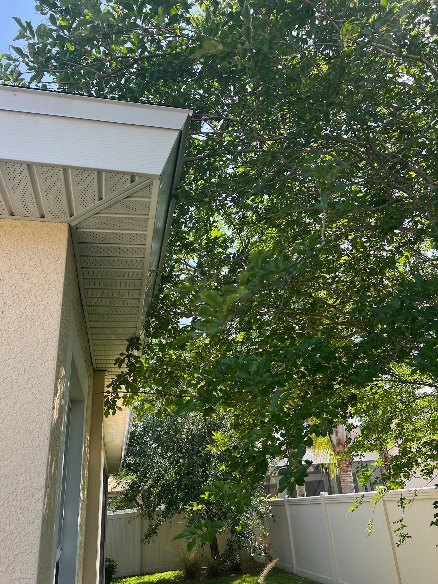 A house with a white fence and a tree in front of it.