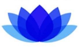 Lotus Restore + Remodel