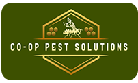 Logo for Co-op Pest Solutions: gold bee icon in a hexagon on a dark green background with honeycomb accents.