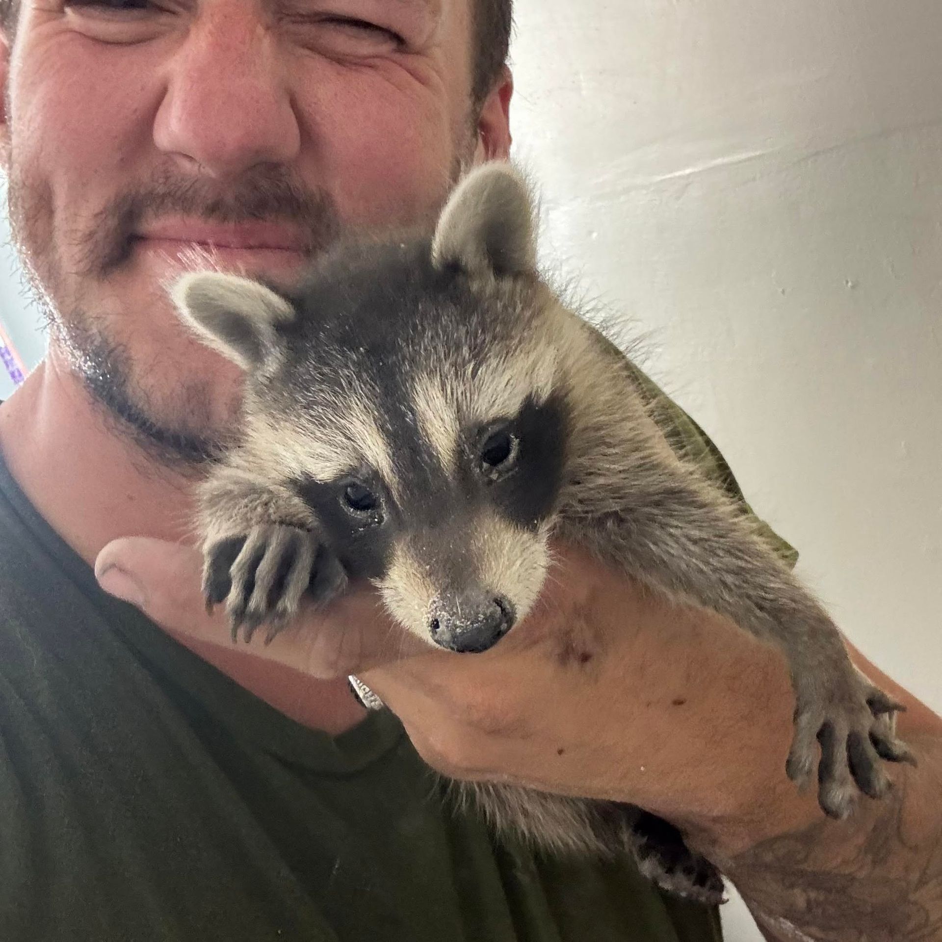 Man holding a baby raccoon close to his face, both indoors.