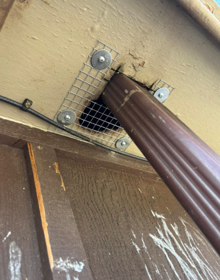 A brown metal downspout penetrates a wooden soffit, which is partially covered by a metal mesh screen held by four washers.