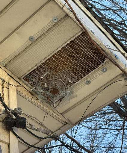 A metal one-way animal exclusion trap installed over a screened attic vent on the exterior of a building.