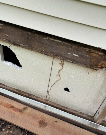 A close-up view of a home exterior showing wood rot and a termite mud tube on the insulation panel below the siding.