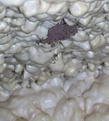 A patch of dark brown, granular material embedded in textured, off-white spray foam insulation.