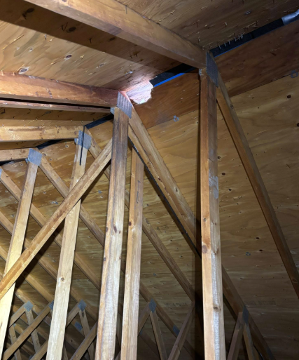 Interior view of wooden roof trusses inside an attic, showing structural beams connected by metal plates.