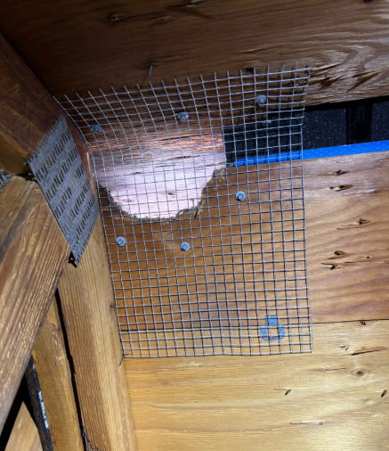A square wire mesh screen is screwed over a hole in an attic ceiling, likely to block pests or improve ventilation.