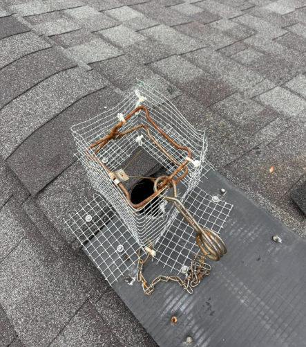 A metal wire cage trap placed over a plumbing vent pipe on a residential shingled roof.