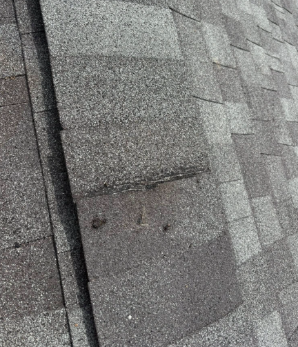 Close-up of gray asphalt roof shingles with visible nail heads and wear on a sloped surface.