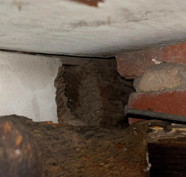 A dark, paper-like wasp nest tucked between a wooden beam and a red brick wall.