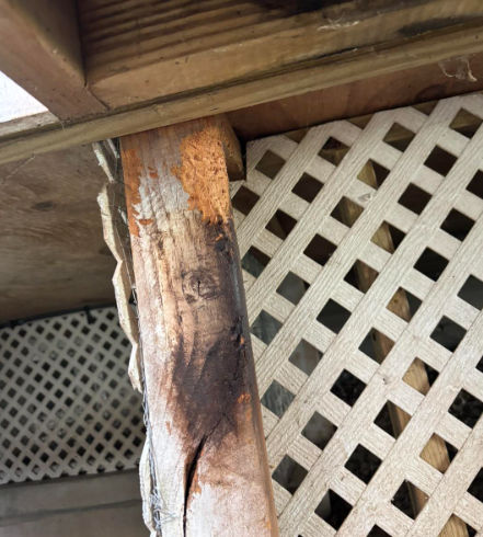 Close-up of a weathered, dark-stained wooden post supporting an outdoor deck structure with white lattice paneling.