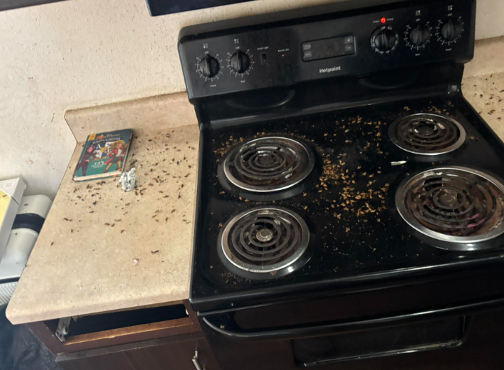 A kitchen stove and adjacent counter covered in a large number of dark, small insects.