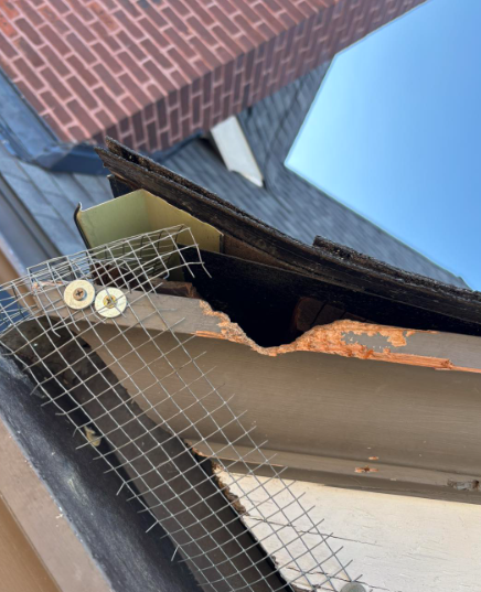 Close-up of a damaged roof fascia board with wood rot, partially covered by wire mesh secured with screws.