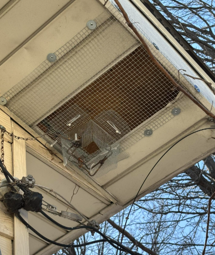 A metal cage trap is bolted over a rectangular vent in the beige soffit of a house exterior.