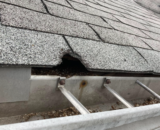 A damaged grey asphalt roof shingle overhangs a metal gutter, exposing a dark gap in the roofline.