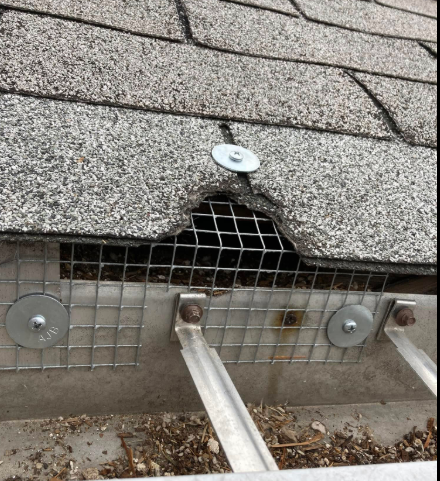 A close-up of a roof edge showing wire mesh installed under shingles to block an opening, secured with metal fasteners.
