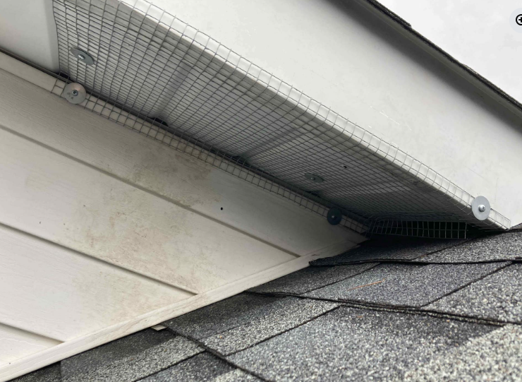 Wire mesh secured with washers over a roof eave vent to prevent pests from entering the attic.