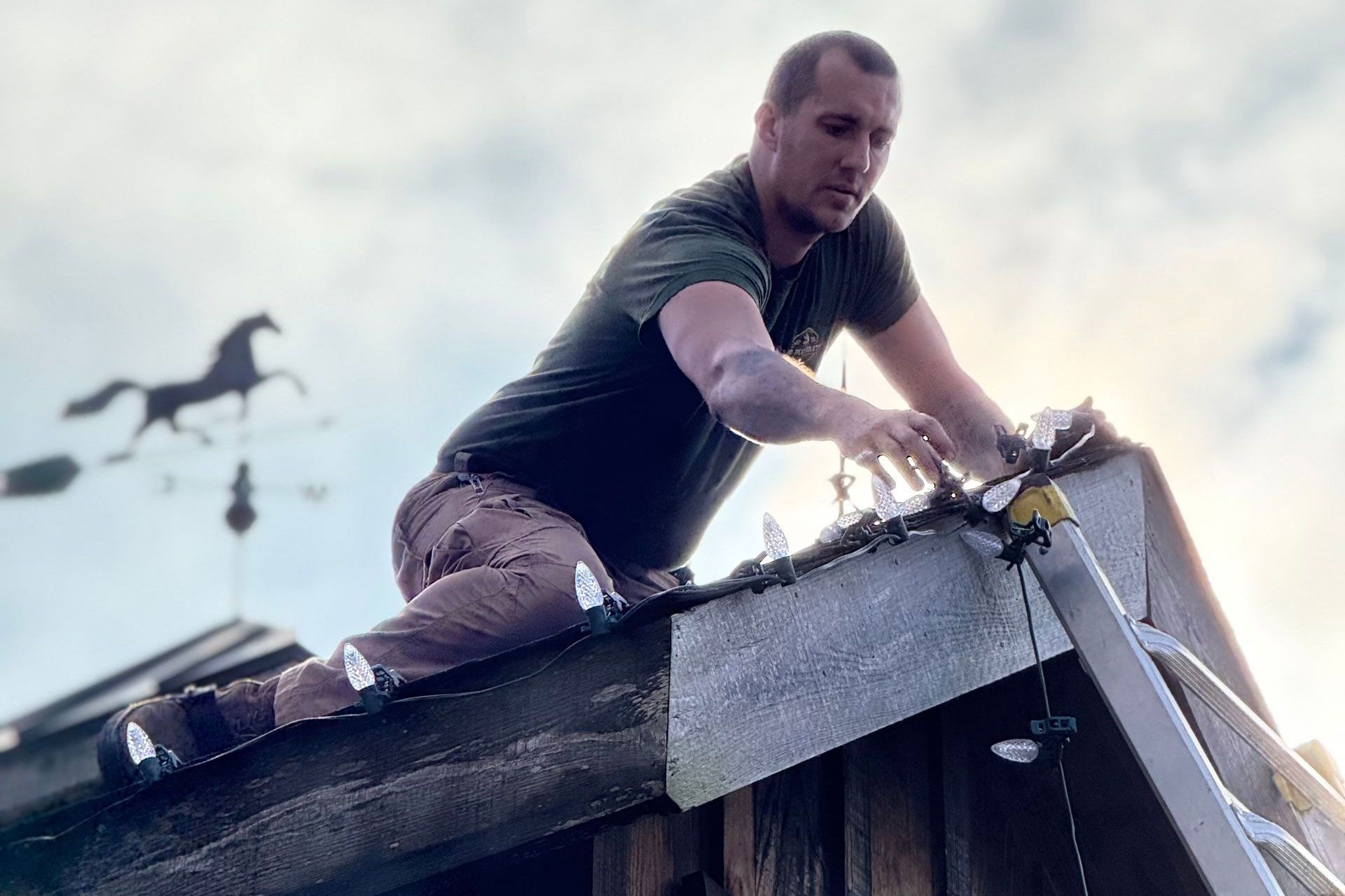 Co-Op Pest Solutions