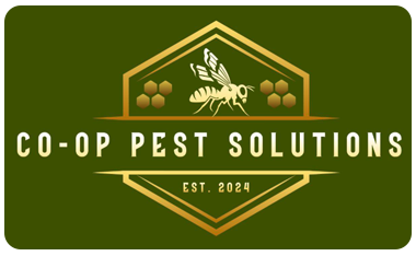 Logo for Co-op Pest Solutions: A golden bee and honeycomb icon on a dark green background with the text "EST. 2024."