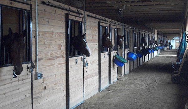 Horse stall kits