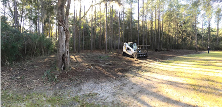 After—brush removed for more land accessible