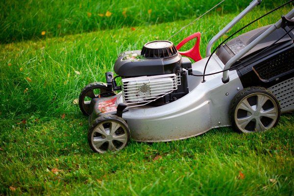 Lawn mower cutting grass