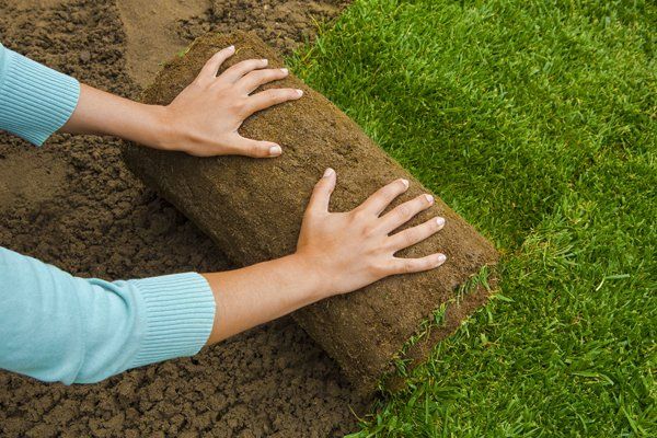 Sod being installed