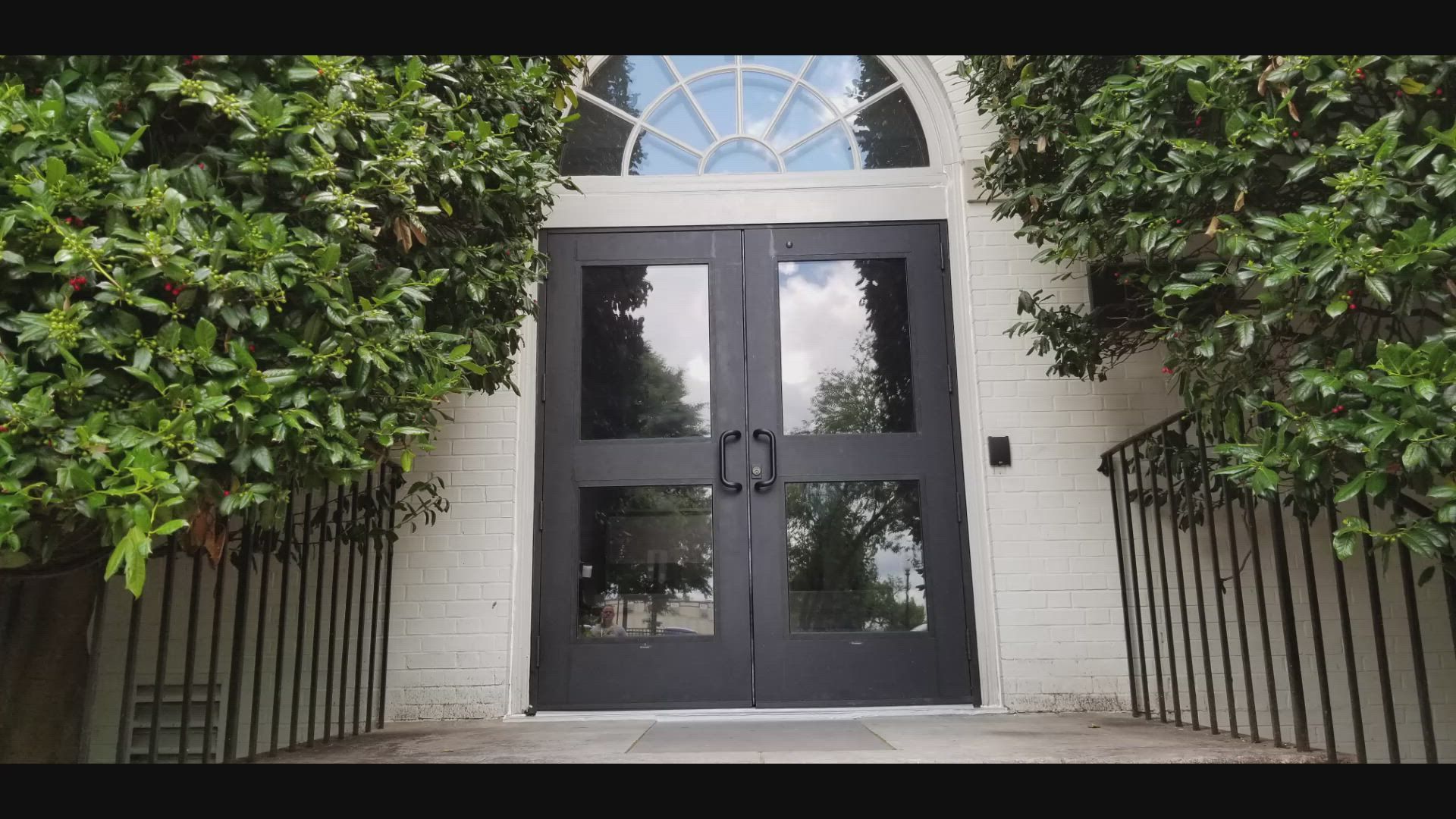 Black double doors with glass panels; flanked by green bushes and topped with an arched window.