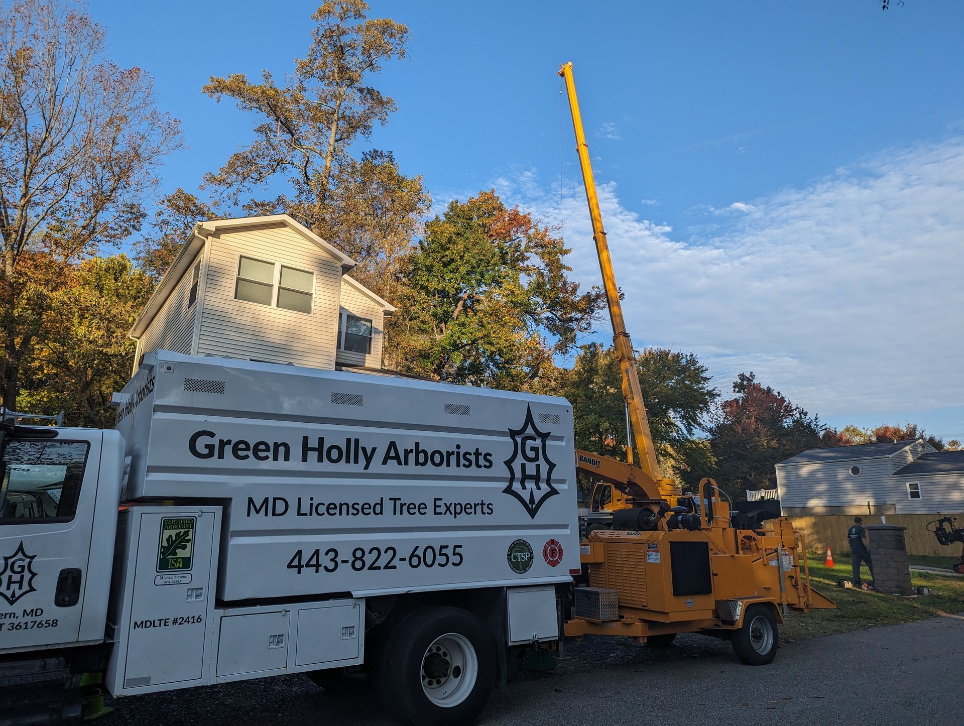 A Green Holly Arborists truck is parked in front of a house.