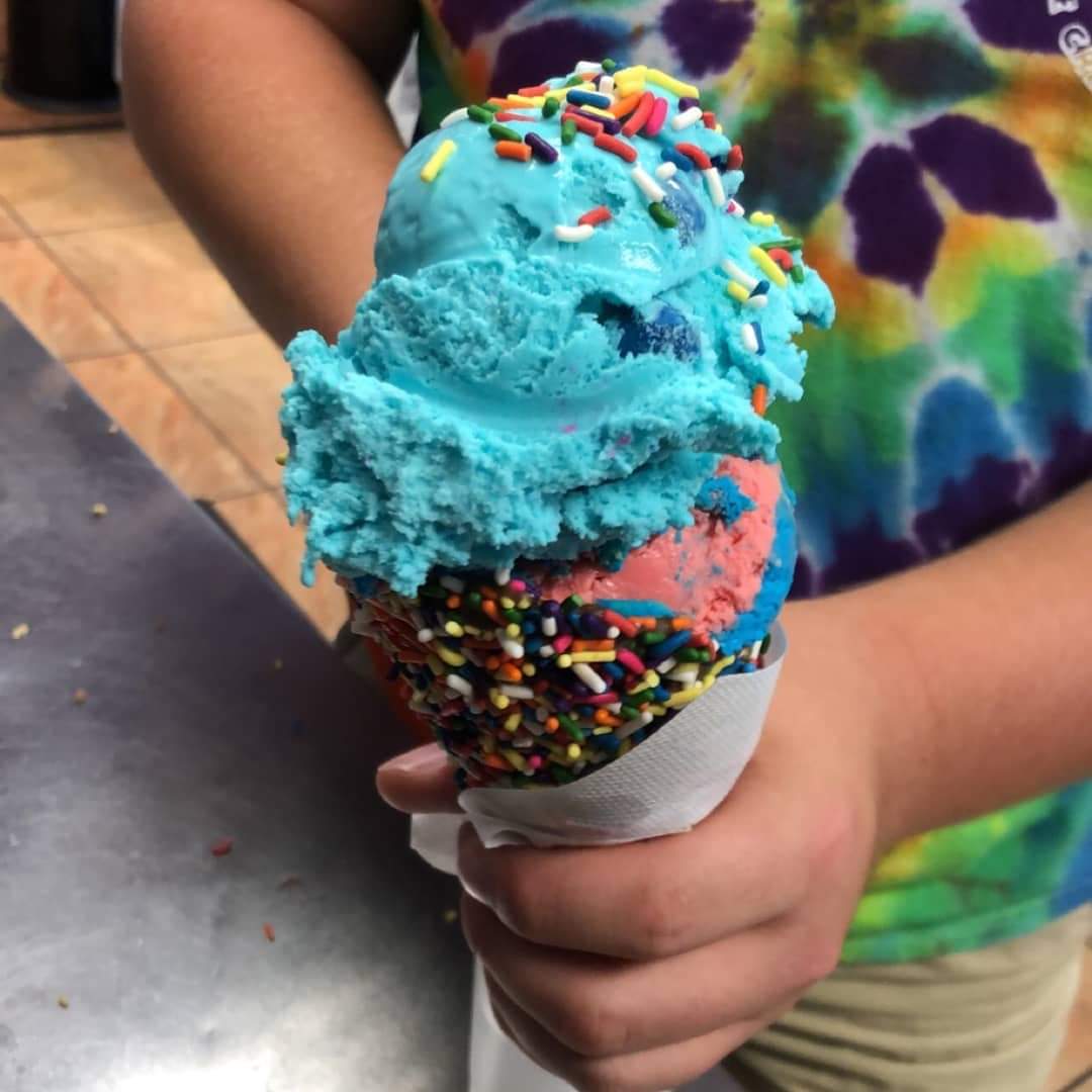 Scoop Du Jour Photo Gallery Chatham, IL