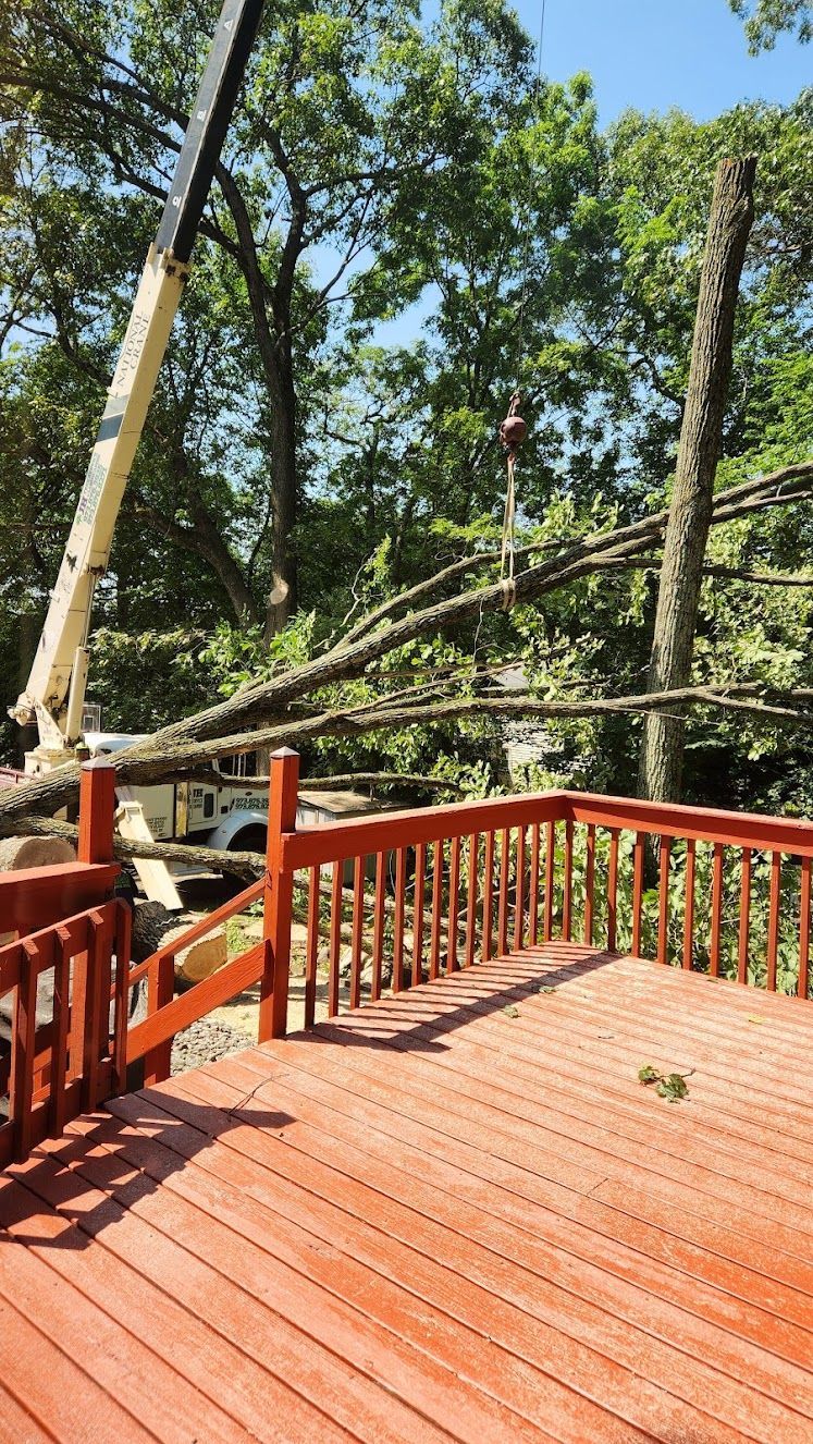 A construction crane lifts a large tree trunk over a red wooden deck in a forest setting.
