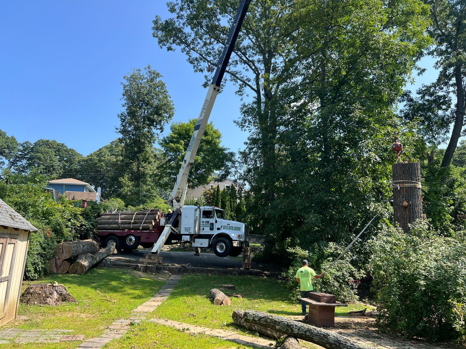 A crane truck is removing logs from a partially cut tree. A worker in a yellow shirt directs operations.
