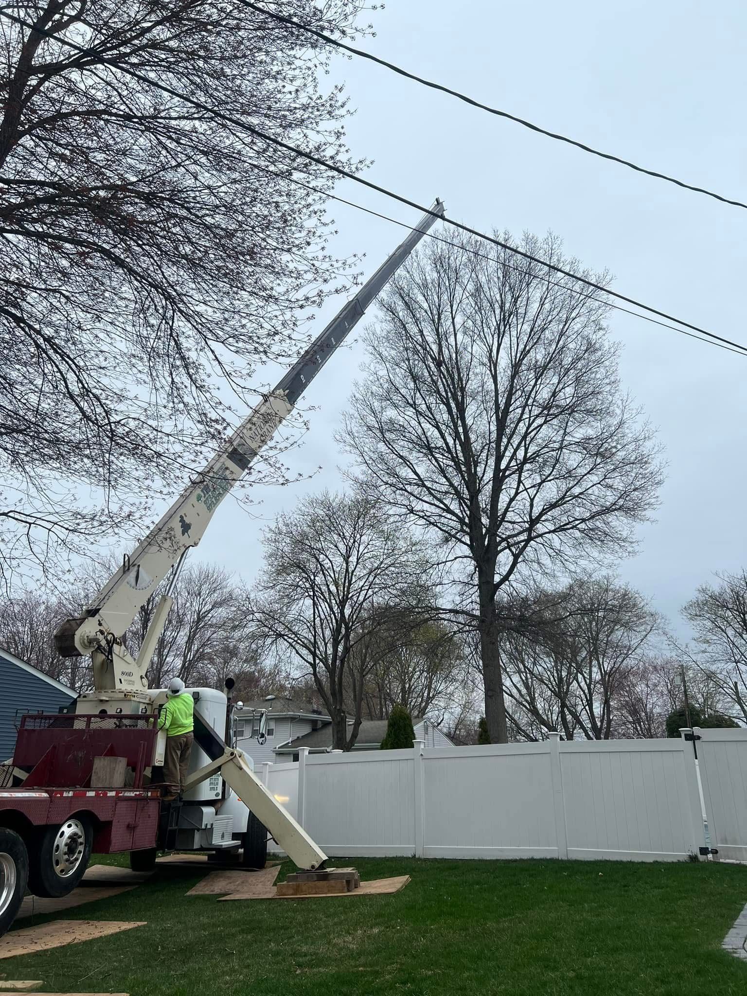 A worker in a lift truck is trimming branches near power lines. Overcast sky, white fence, and green grass.